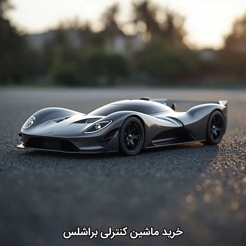ماشین کنترلی براشلس